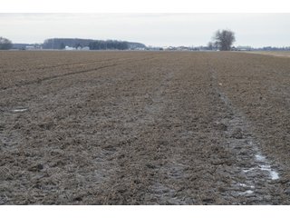 Property photo 41 - 173 +/- Acres Offered in 3 Tracts - Ohio Farmland